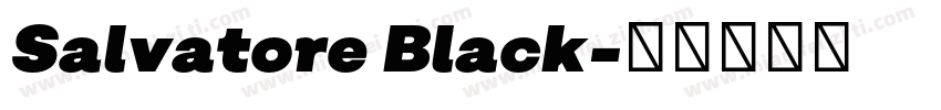 Salvatore Black字体转换